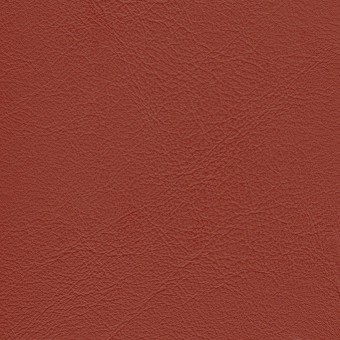FABRIC Leather Due : Due / Strawberry